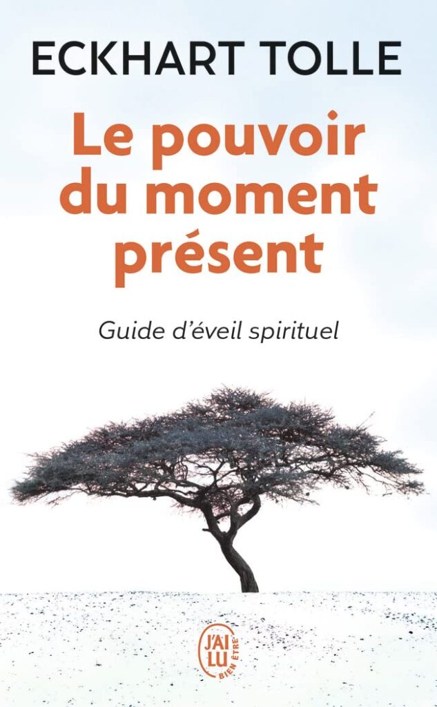 livre Le pouvoir du moment présent